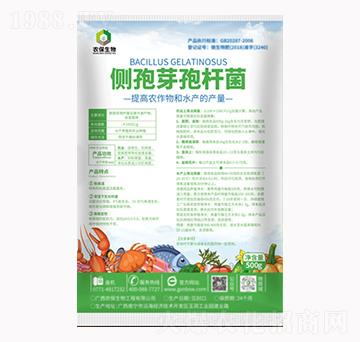 ����ѿ�ߗU��-�r(n��ng)������