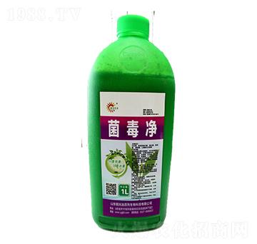 ������-ꖹ�Ӱ���