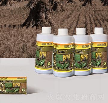 �N��̎�턩-���a(b��)�N��-������