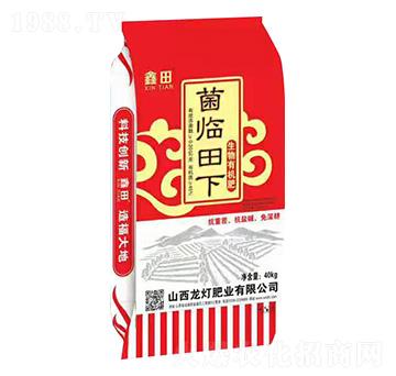 �����ЙC��-���R����-�����ʘI(y��)