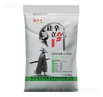 ���ϰ�H-��������-�峣