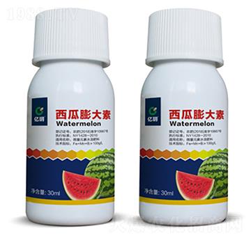 ���������-�R������