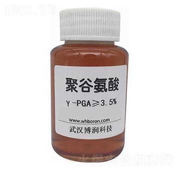 �۹Ȱ����-PGA-�����Ƽ�