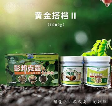 �����¶���S���n-��������