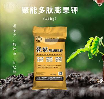 ���ܶ�������-��������