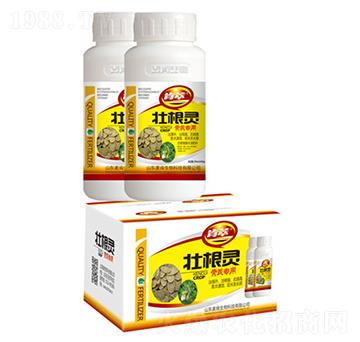 �Ѹ��`�S�Ό�(zhu��n)��-��������