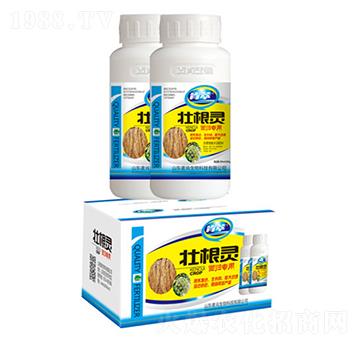 �Ѹ��`��(d��ng)�w����-��������