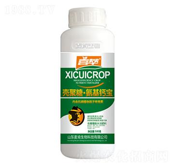 �����ǰ����}��-��������