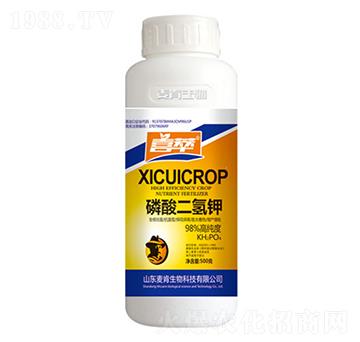 �������⛣�500g��-��������