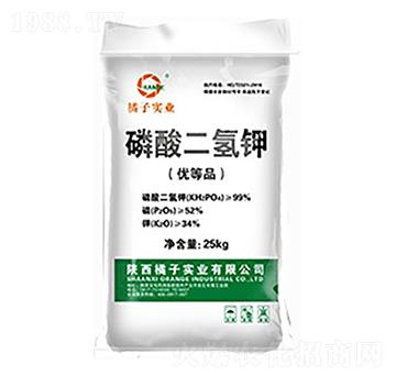 �r�I(y��)����������-���ӌ��I(y��)