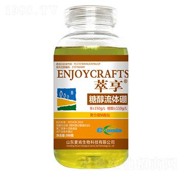 �Ǵ����w��-��������