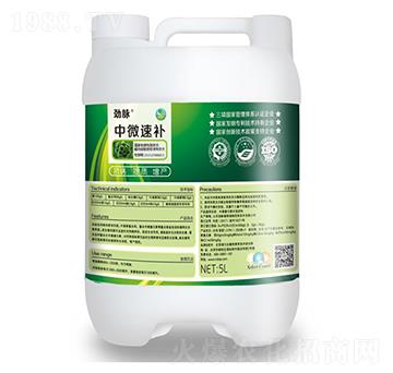 ��΢���a(b��)-���}