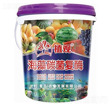 ����̼����ø-ֲ�^-�����r(n��ng)�I(y��)