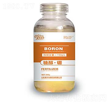 �Ǵ�����-�������