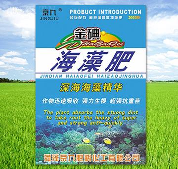 ��⺣���-����