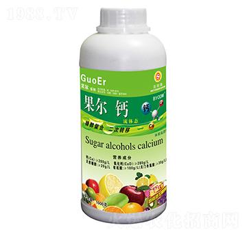 1000g�������w�}-��ꖉ�