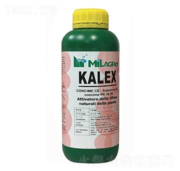 �������-���h(yu��n)