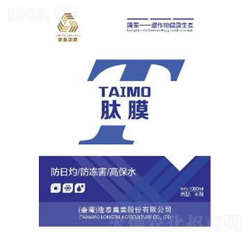 �M���r���������-��Ĥ-��������