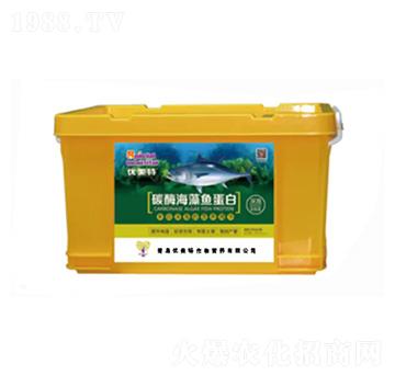 ø�⺣���~����-��(y��u)����