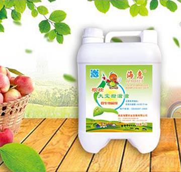 ���Ѵ�������΢�������-����