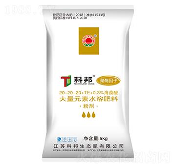 ƽ���;�ø���Ӵ���Ԫ��