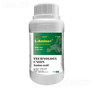 ���M���������x������-