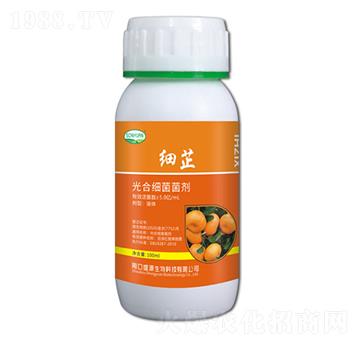 ��(x��)�ƹ�ϼ�(x��)������-ʢԴ