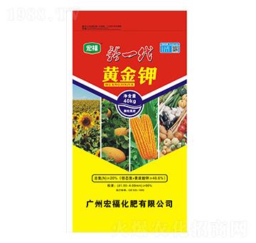 ��һ���S���-�������