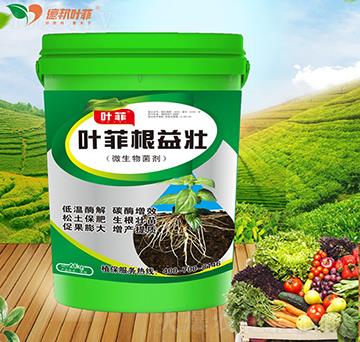 ΢�������-�����-�°��~��