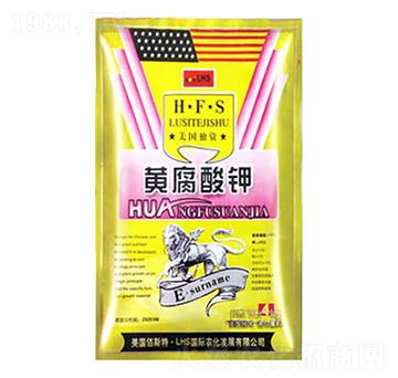 �S�����-�����ʘI(y��)