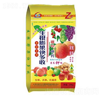 ������������-�����ʘI(y��)