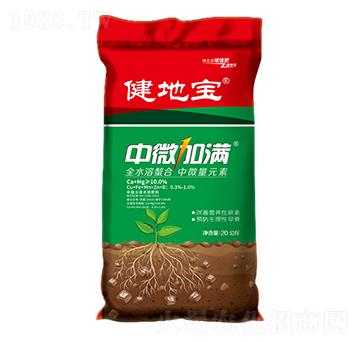 ��΢�ӝM-���،�