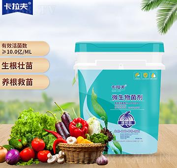 ΢�������-������