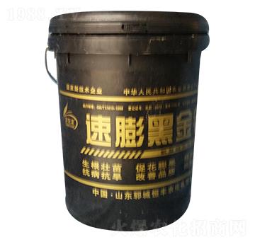 ����ڽ��-���S�r��