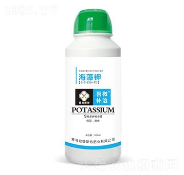 �����-��΢�a(b��)��-���S˹�طʘI(y��)