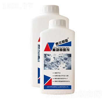 ֲ��ф�-̩�����D-ʥ�ɶ�