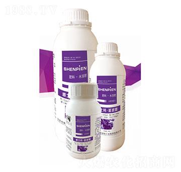 ��ʿ�}-ʥ�ɶ�