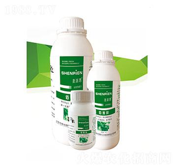 �����\-ʥ�ɶ�