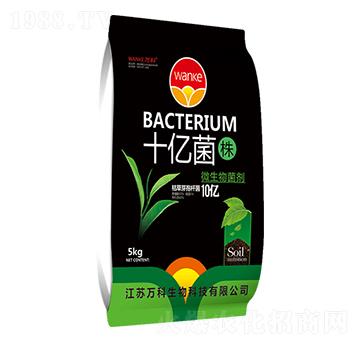 ʮ�|���꣨10�|����-�f(w��n)��