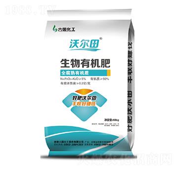 �����ЙC��-�֠���-��������