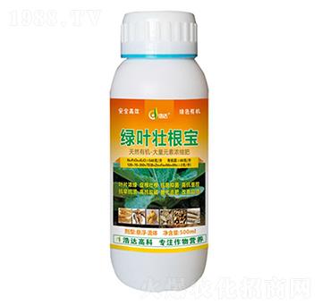 ˎ�ľG�~�Ѹ���-���_��