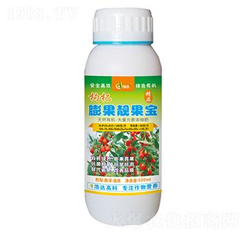 �������n����-���_����