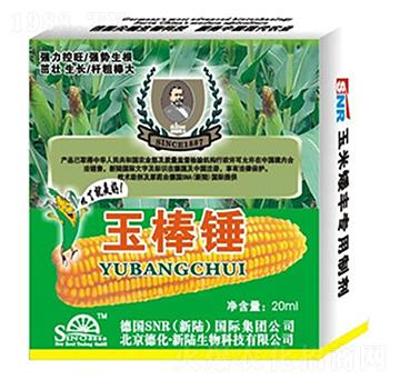 �����~���-����N-�»�