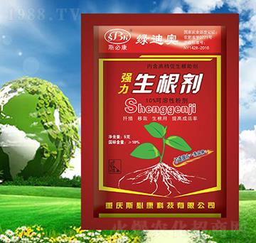 �������������t��-�G�ϊW-˹�ؿ�