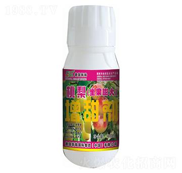 �����������������-�»�