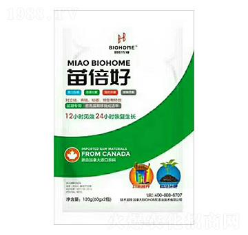 ���ڌ����籶��-�����r(n��ng)�I(y��)