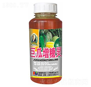 �޹������`-�»�