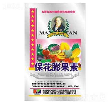 ���������-�»�