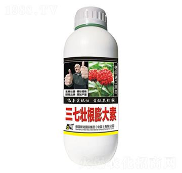 �������Ѹ���-�»�