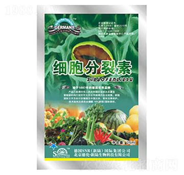 ����������-�»�